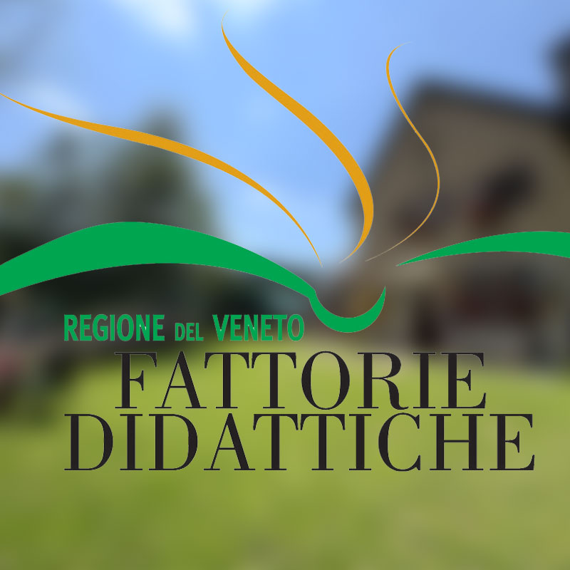 Fattoria Didattica Malga I Lotto Valmaron