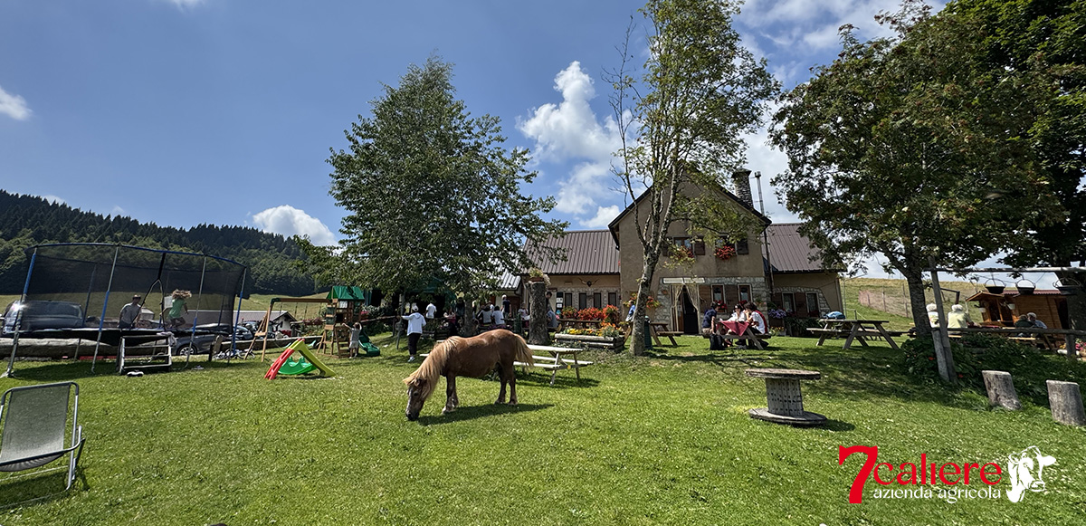 Azienda Agricola 7 Caliere - Agriturismo altopiano di Asiago nella piana di marcesina