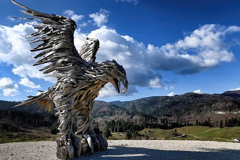 L'Aquila di Vaia
