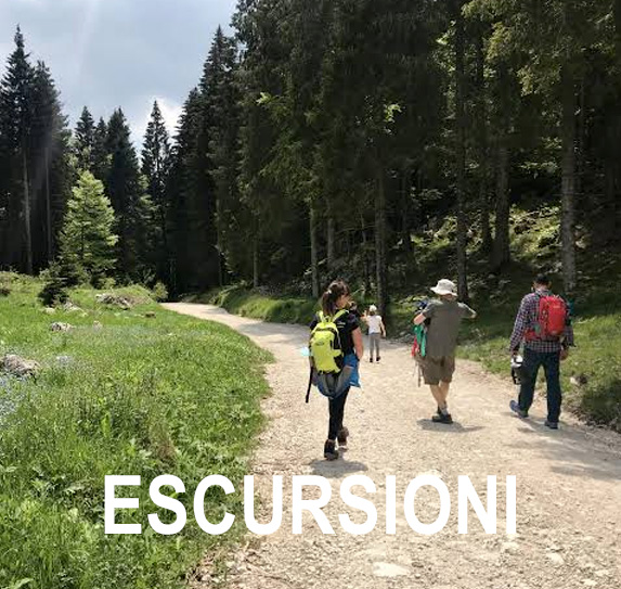 passeggiate e trekking tre Storia e Fortificazioni al Forte Lisser