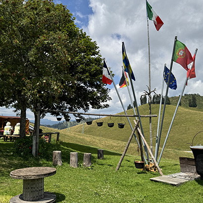 photo gallery