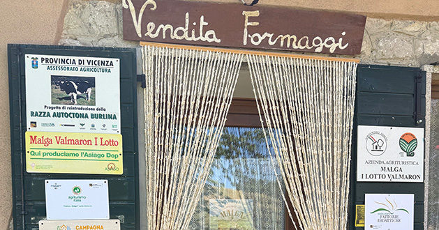Acquista i nostri prodotti